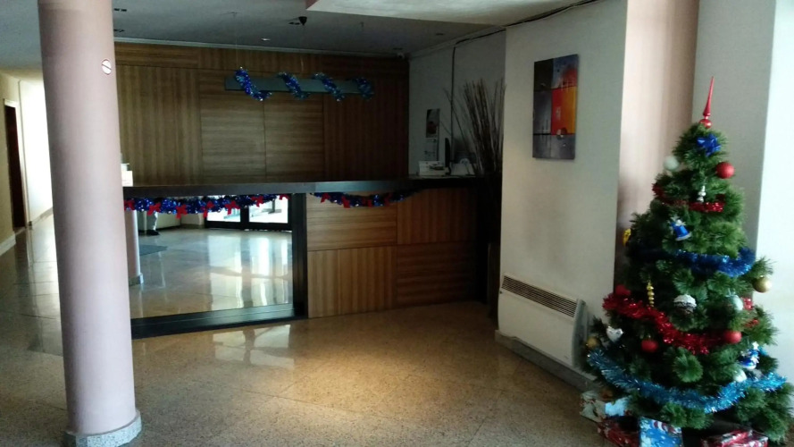 Pine Tree Apartment D34 — фото 2