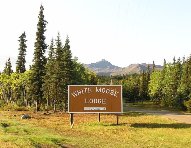 White Moose Lodge — фото 5