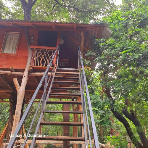 Bed & Bicycle Hostel Dambulla — фото 4