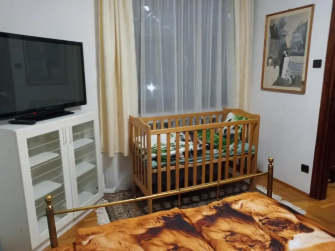 Luxury Eagle apartman — фото 4