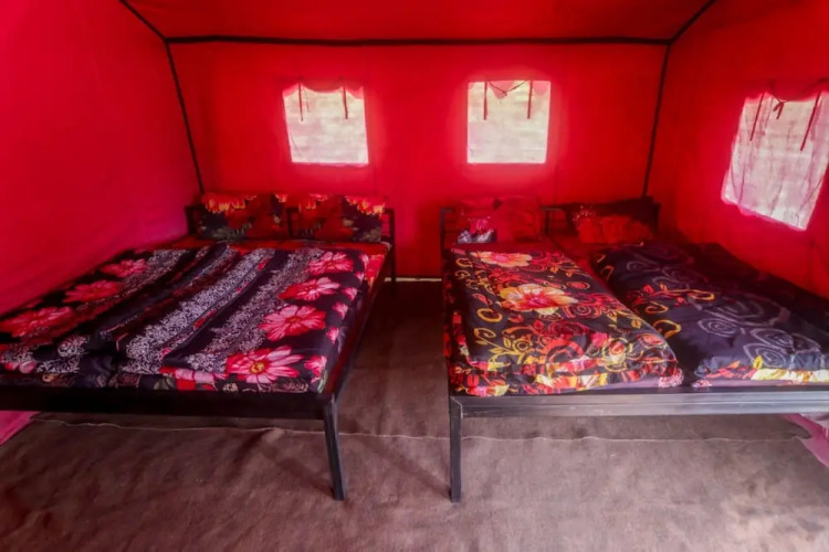 Camp Awara Rishikesh — фото 2