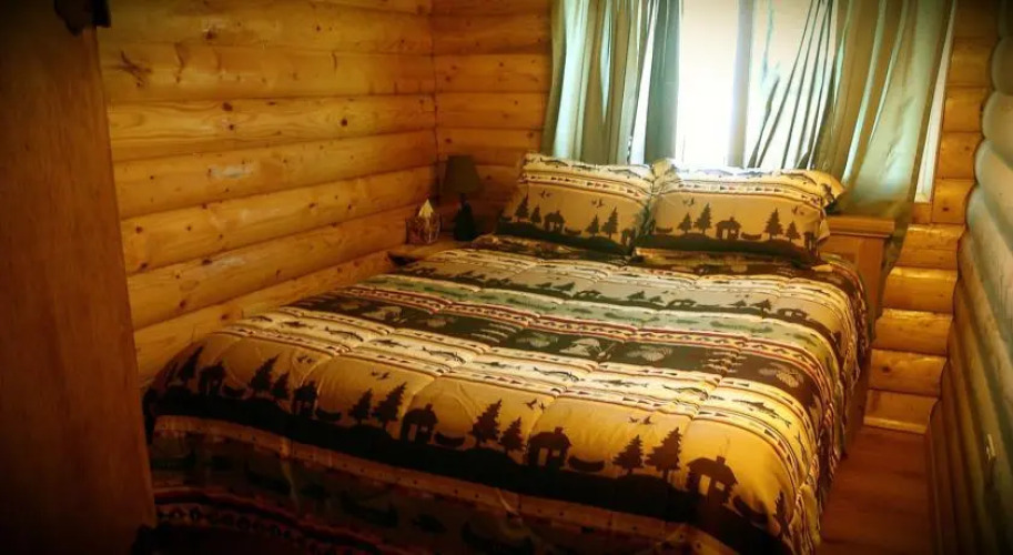 Wapiti Mountain Cabin — фото 2