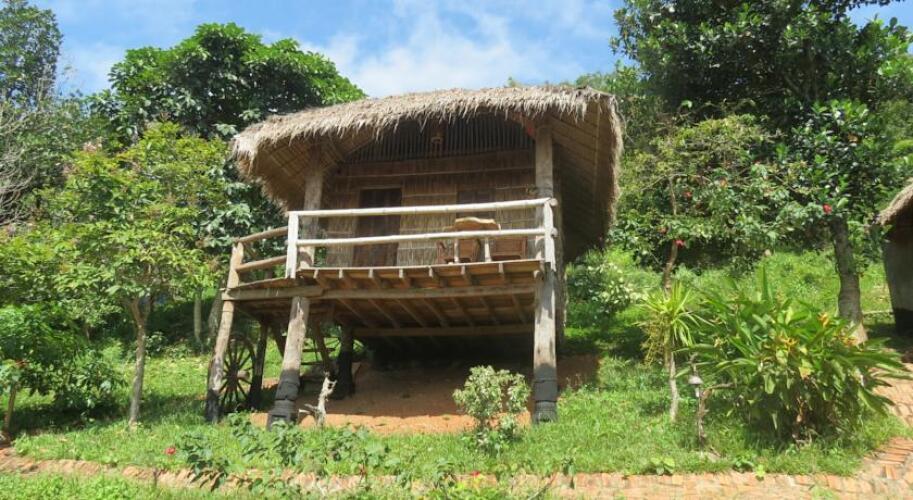 Tree Top Bungalows — фото 4