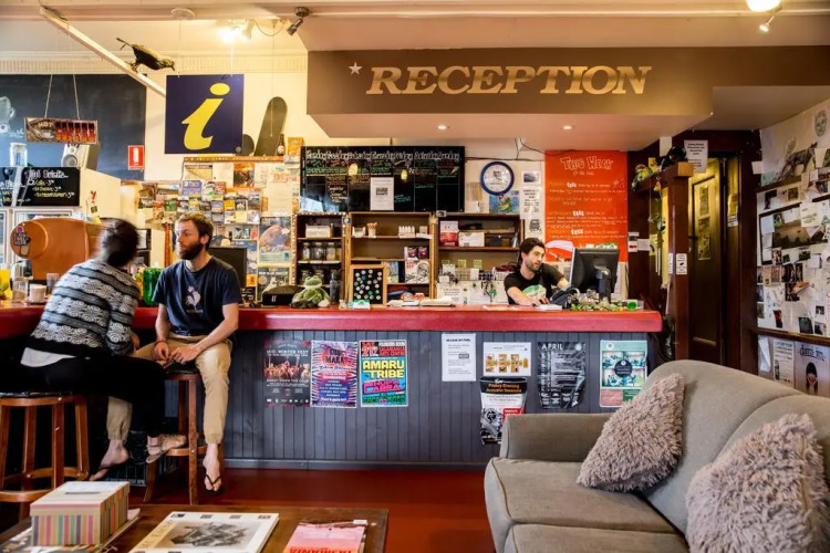 The Pickled Frog - Hostel — фото 5