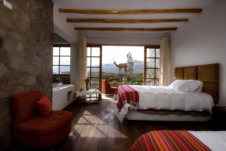 Apuvilla Luxury Ecolodge — фото 5