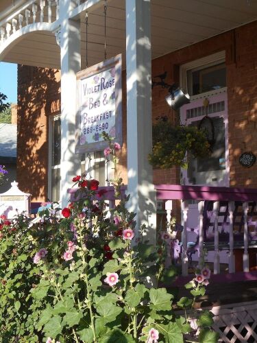 Violet Rose B&B — фото 4