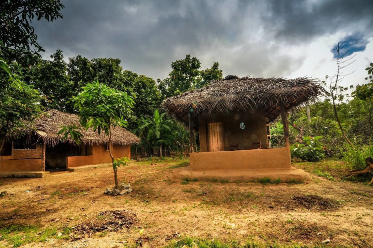 Villa Dambulla — фото 2