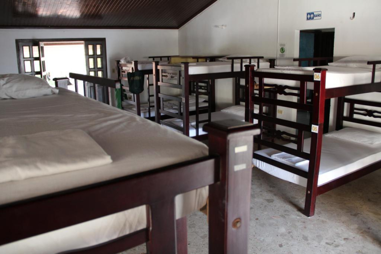 Drop Bear Hostel — фото 5