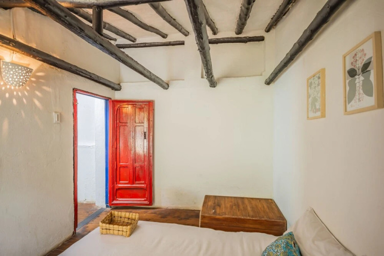 Botanico Hostel — фото 4