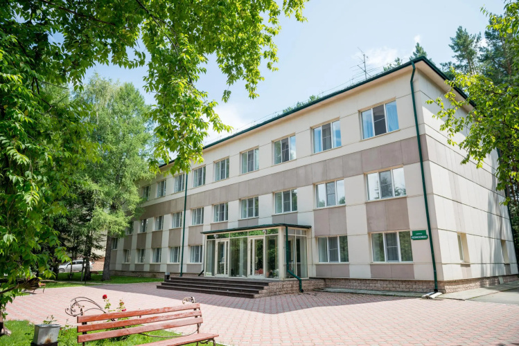 Борвиха