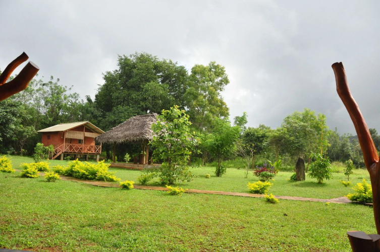 Liyon Rest — фото 2