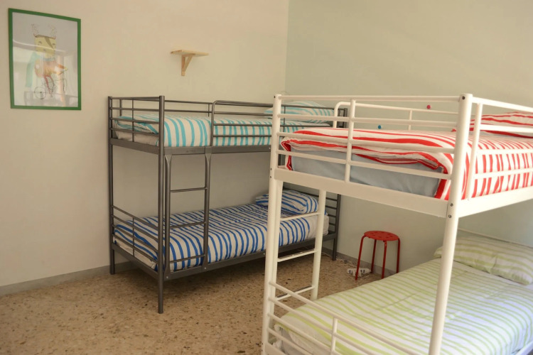 Olive Tree - Hostel — фото 4