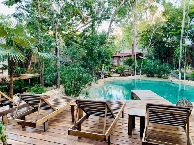 Nahouse Jungle Lodges — фото 3