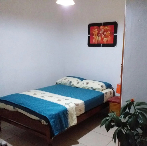 Kitara House Backpackers Hostel — фото 2