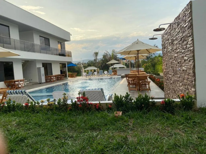 Natural View — фото 2