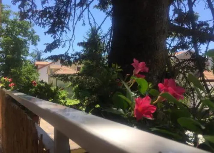 New Royal — фото 2