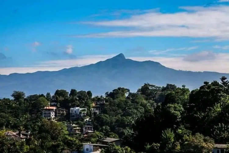 The Tenthola Kandy — фото 4