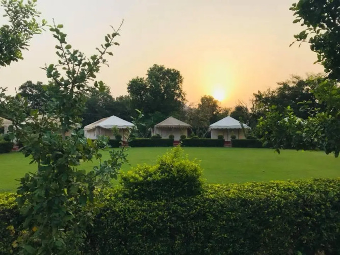 Ummaid Bagh Resort — фото 3