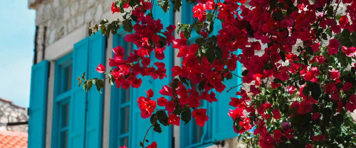 Casa Alegre Alaçatı