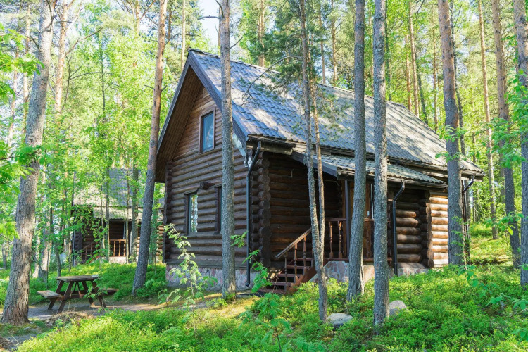 Фотография номера базы отдыха Капитан Морган