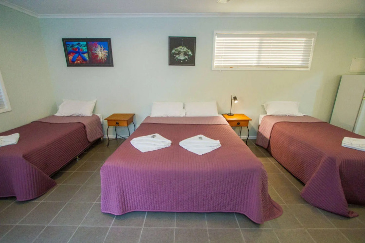Agnes Palms Accommodation — фото 3
