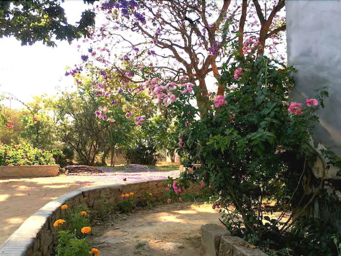 Dendere Lodge — фото 5