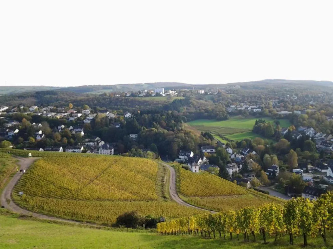 Saar-Mosel-Tal — фото 5
