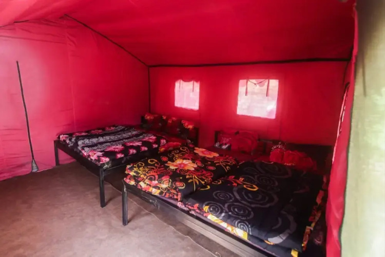 Camp Awara Rishikesh — фото 3