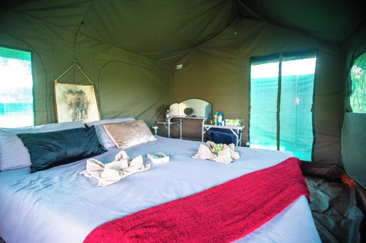 Moremi Enclave Resort — фото 2