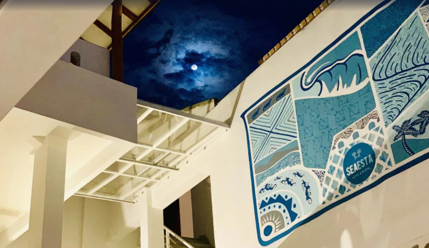 Seaesta Komodo Hotel & Hostel