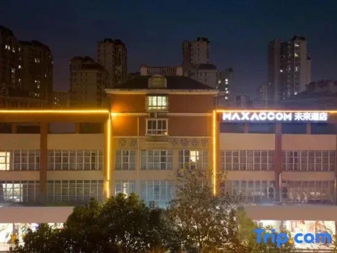 Maxaccom furure Hotel — фото 2