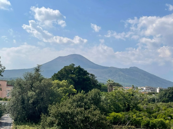 Vesuvius garden — фото 2