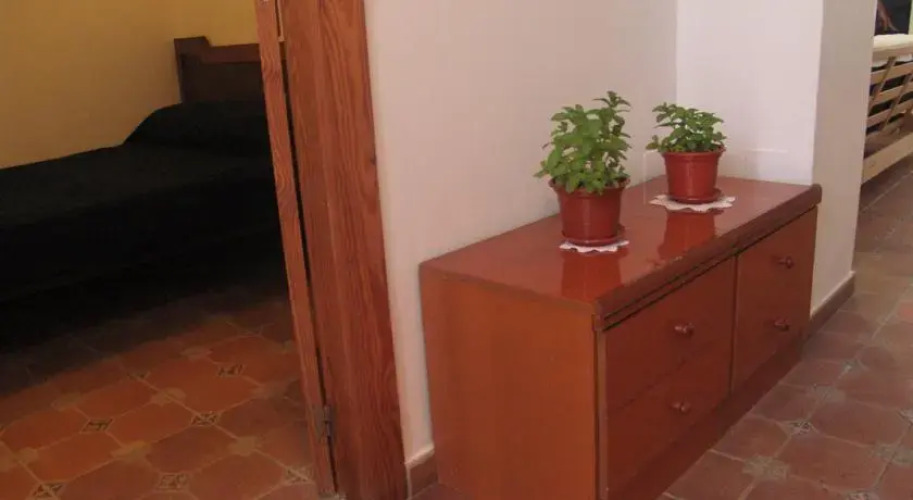 Palmar Planta Baja — фото 2