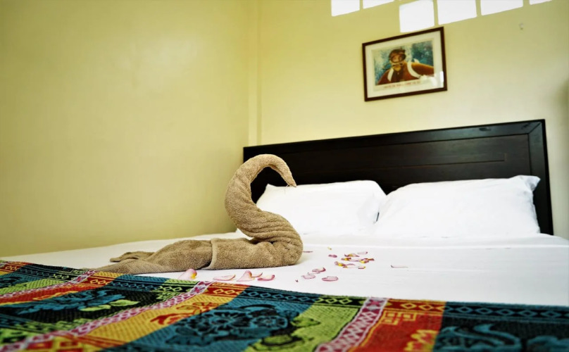 HideAway Dive Hostel — фото 2