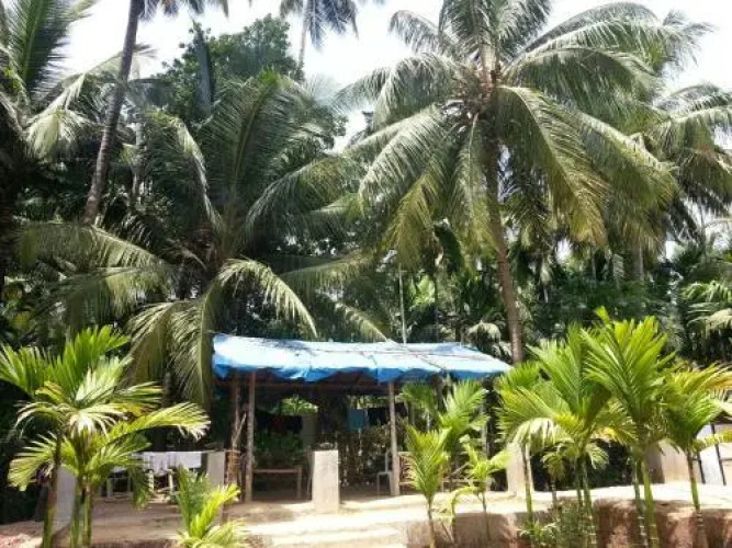 Tendulkar Beach Resort — фото 5