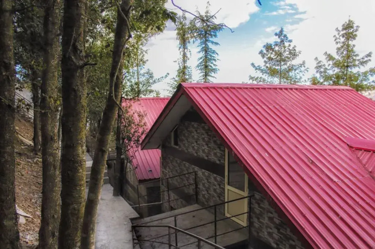 Shimla View Home — фото 3