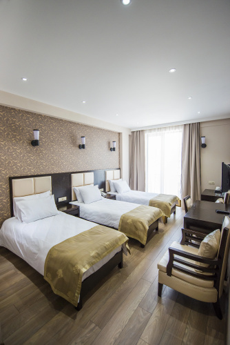 Фотография номера гостиницы Tbilisi Inn