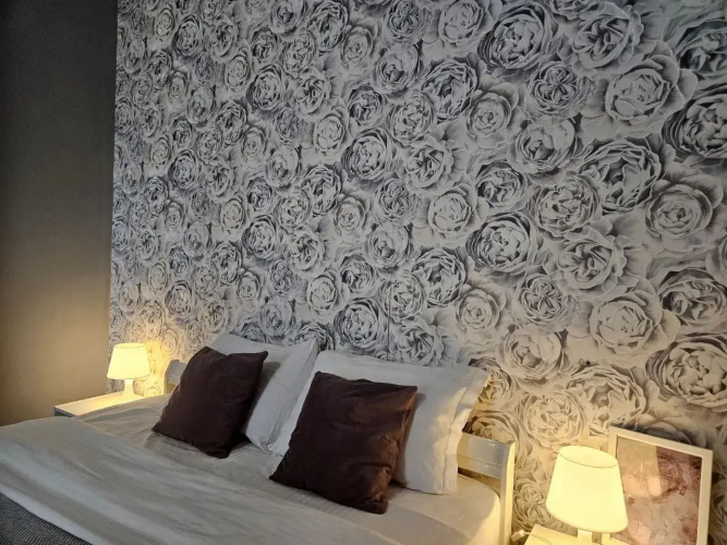 Фотография номера квартиры Апартаменты White Lodging Olimp