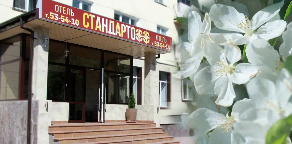 Отели Стандартофф
