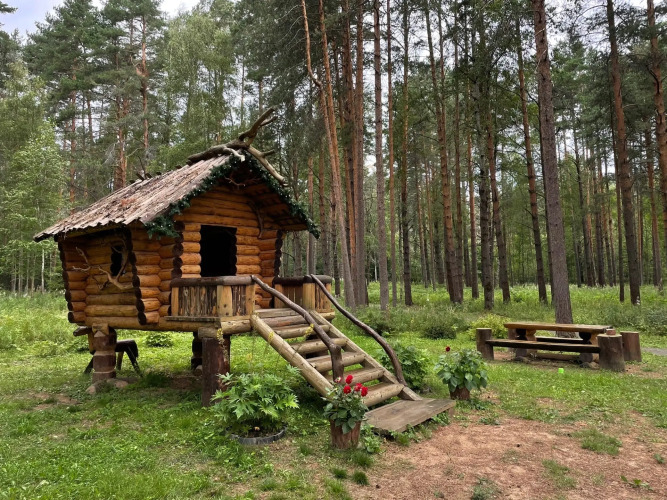 Отель Лесная сказка — фото 5
