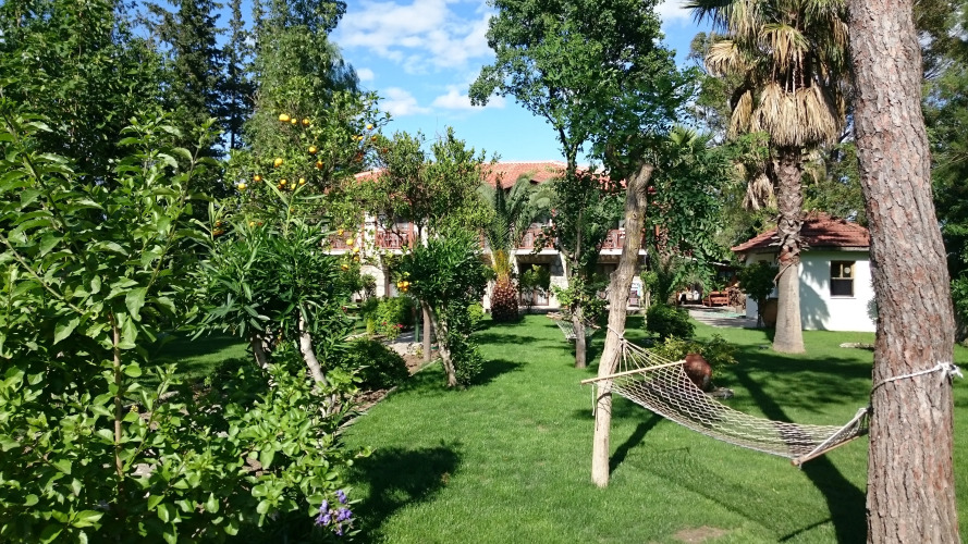 Dervi̇şhan Pension — фото 4