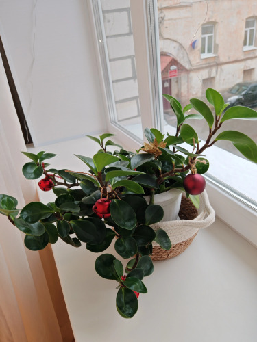 Изображение 1