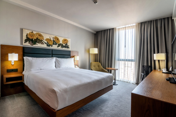 Фотография номера гостиницы Hilton Garden Tbilisi Chavchavadze