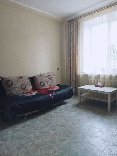 Квартира на Багаева 25/1