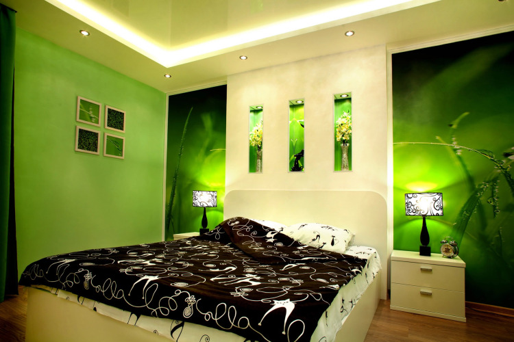 Фотография номера квартиры Апартаменты Green House 1